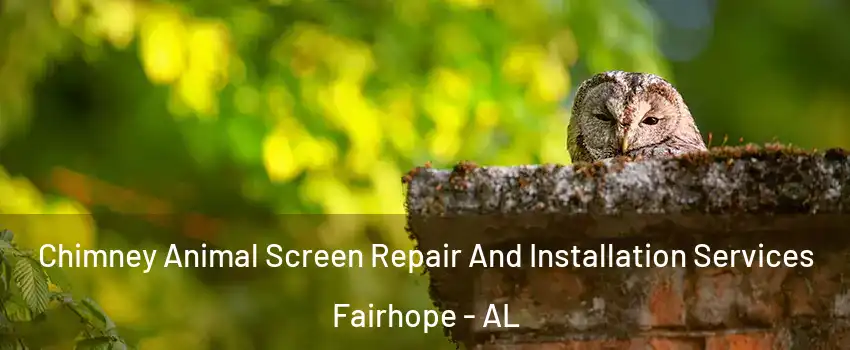  Chimney Animal Screen Repair And Installation Services Fairhope - AL