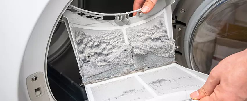 Best Dryer Lint Removal Company in Fairhope, Alabama
