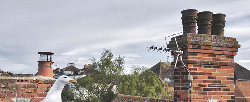 Chimney Cleaning And Restoration in Fairhope, Alabama