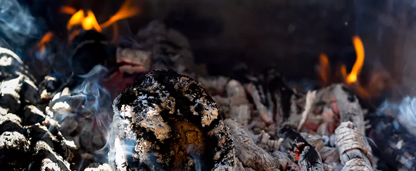 Creosote Removal Experts in Fairhope, AL